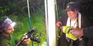 Moth Survey at BioBlitz 2014