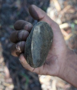 Old hatchet along Bundian Way