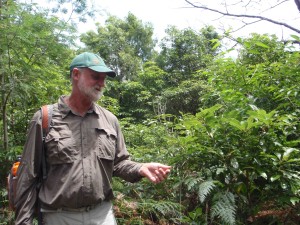 Botanist, Stuart Cameron
