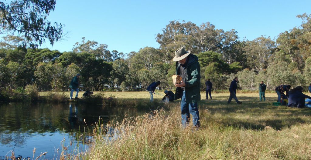 Wetland monitoring