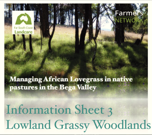 Cover photo of Managing African Lovegrass in native pastures in the Bega Valley Info Sheet 3