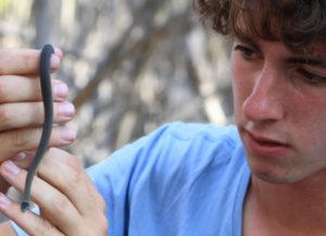 bioblitz 2015 photo