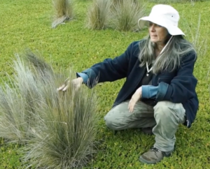 Jackie Miles and salt marsh
