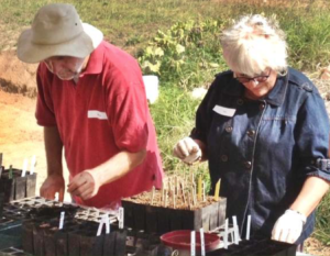 Plant Propagation Workshop 2013 photo