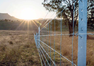 Farm fence