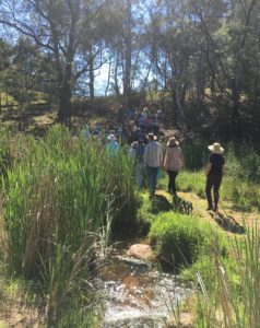 Bemboka Reserve 2017